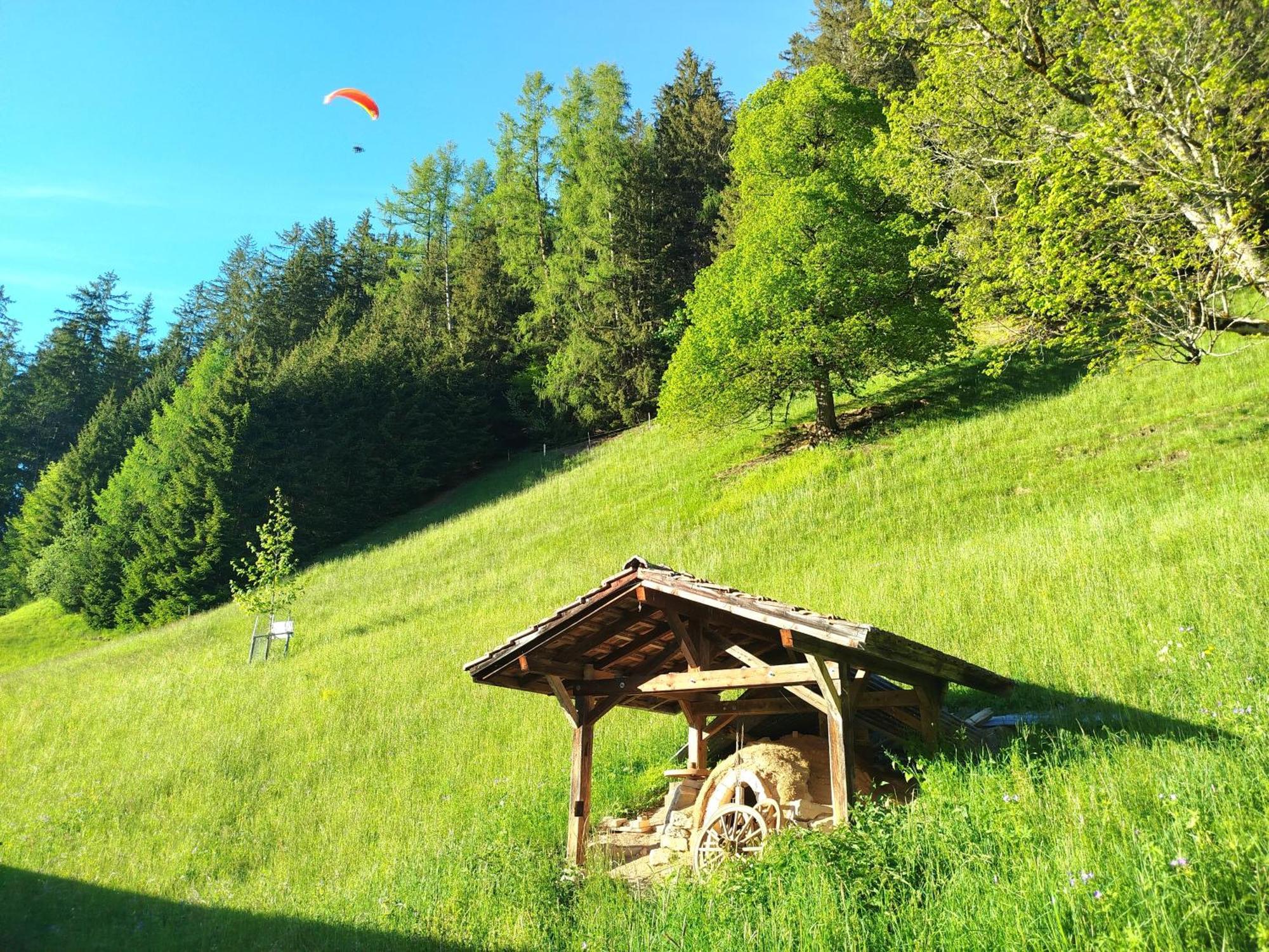 Sonnenhof Wengen - First Hotel Of 벤겐 외부 사진
