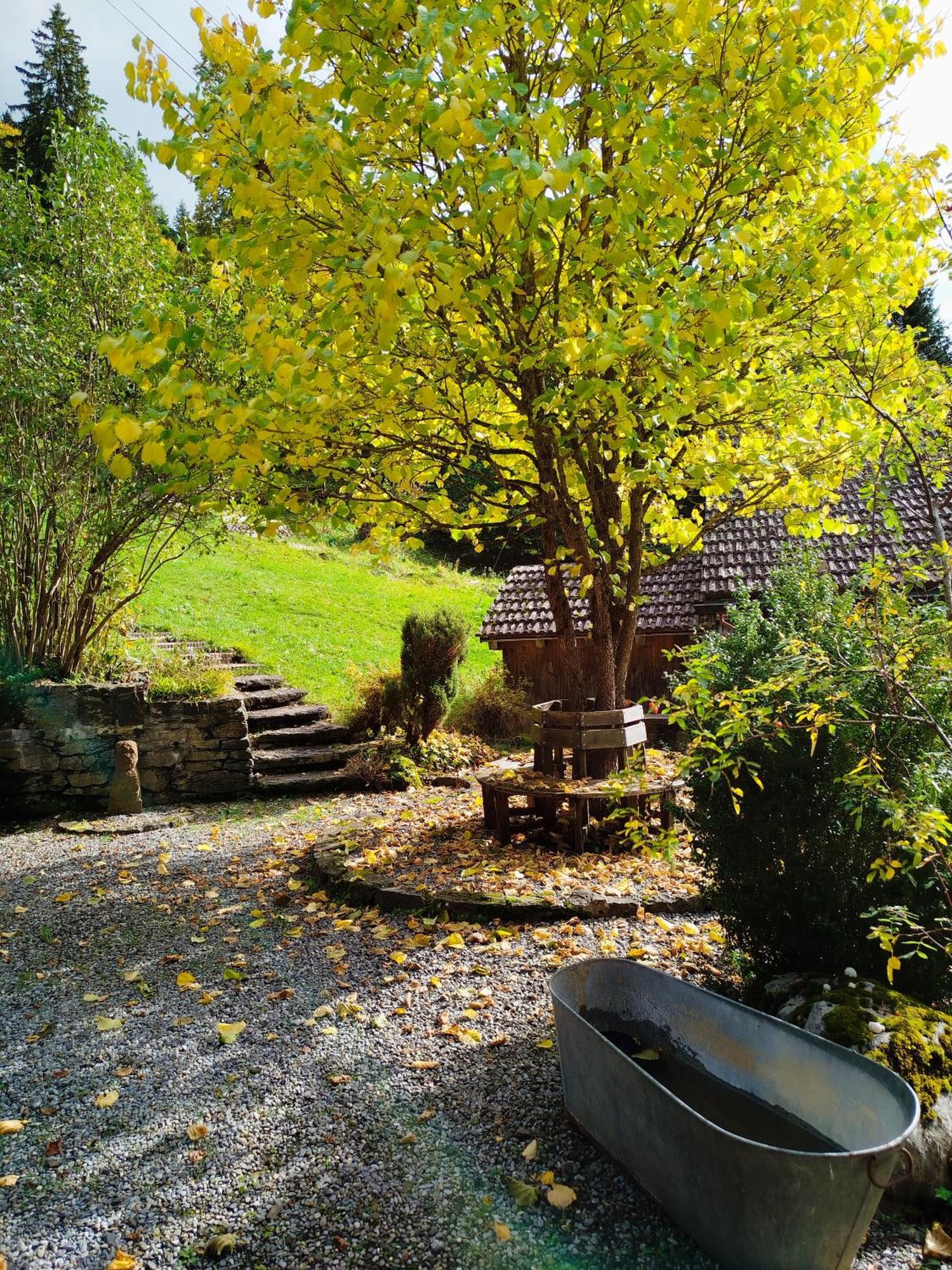 Sonnenhof Wengen - First Hotel Of 벤겐 외부 사진